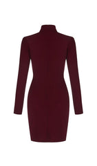 CUT OUT MESH MINI DRESS IN WINE RED