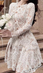 DIAMOND BUTTON BOW LACE HOLLOW OUT MINI DRESS