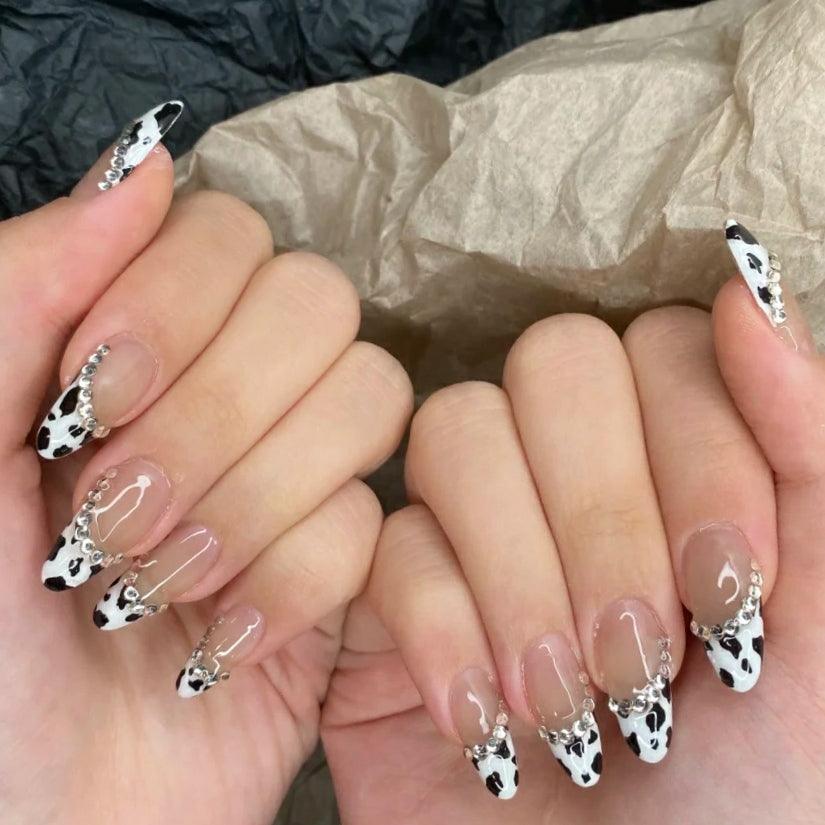 Wild Safari