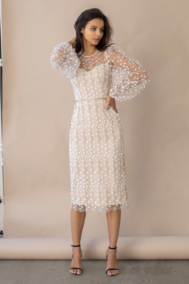 Embroidered Sheer Fitted Dress