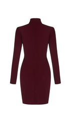 CUT OUT MESH MINI DRESS IN WINE RED