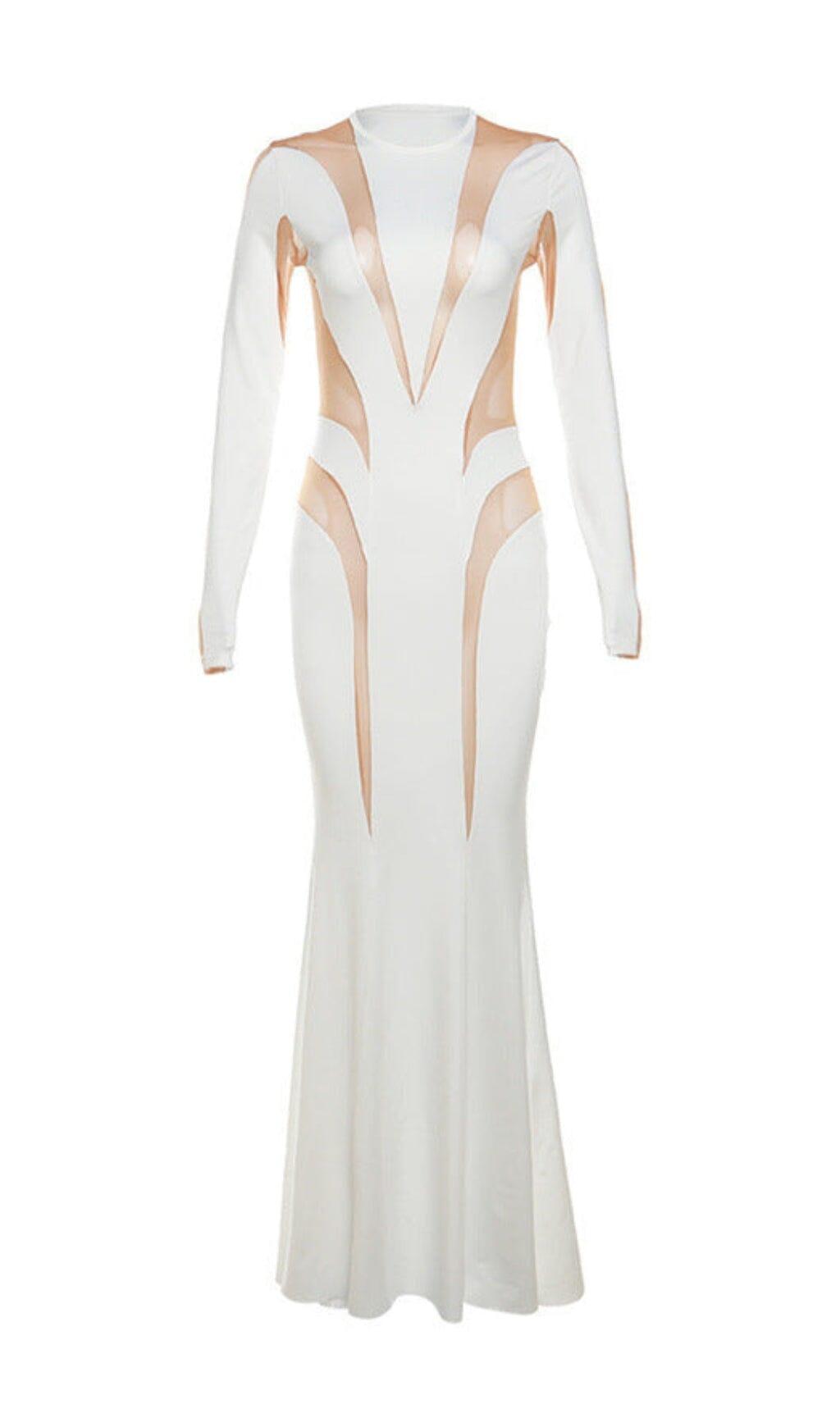 LONG SLEEVE MESH BODYCON MAXI DRESS IN WHITE